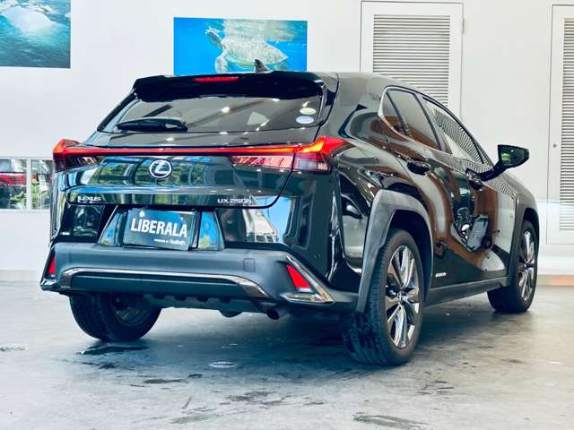 Lexus UX 9