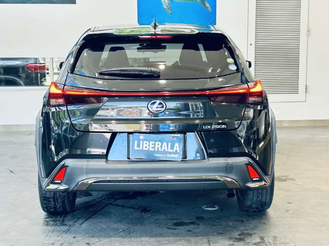 Lexus UX 10
