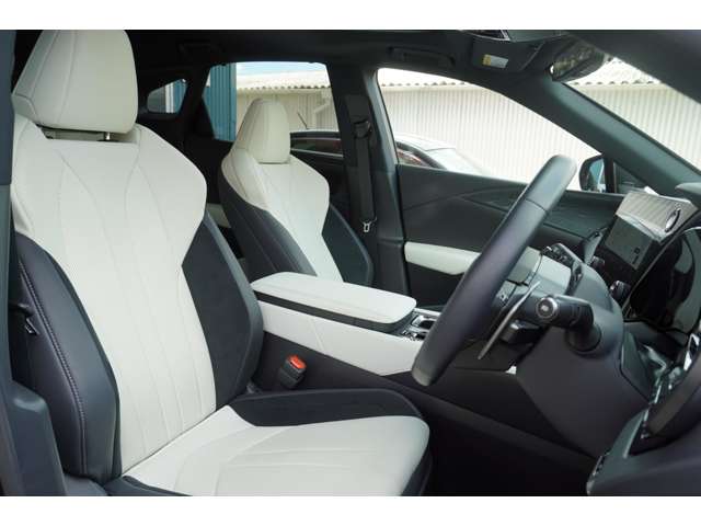Lexus RX 11