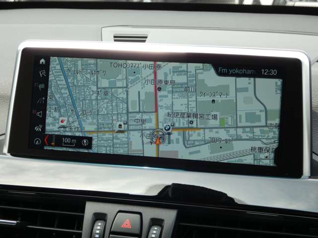 BMW X1 9