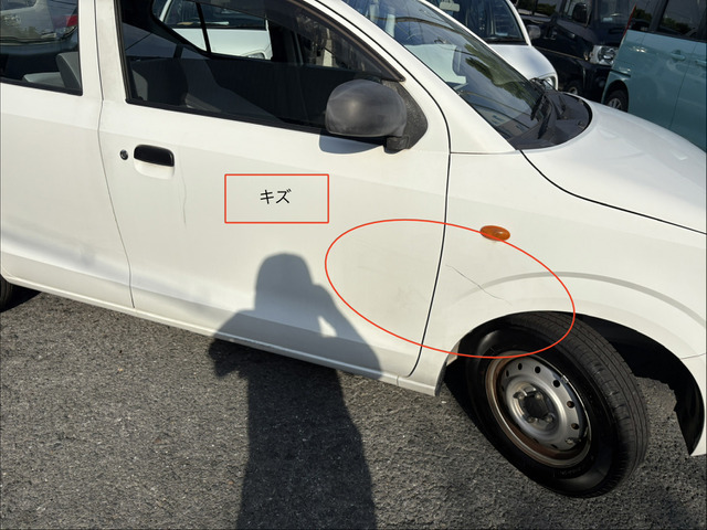 Suzuki Alto 11