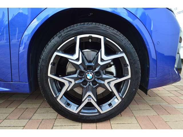 BMW X2 10