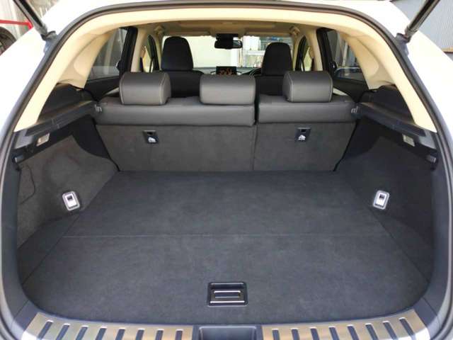 Lexus NX 11