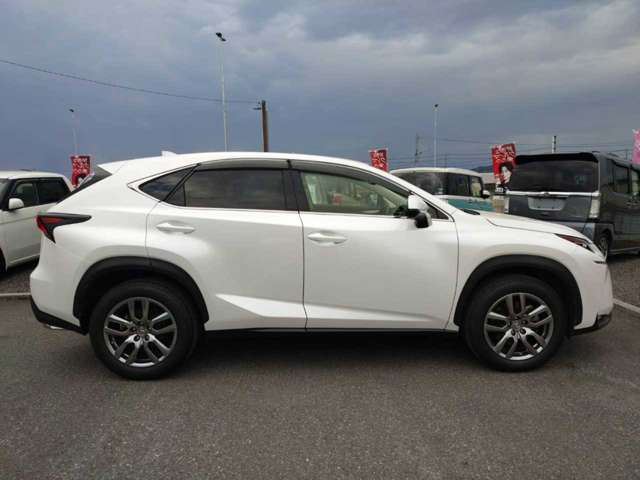 Lexus NX 4