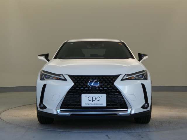 Lexus UX 12