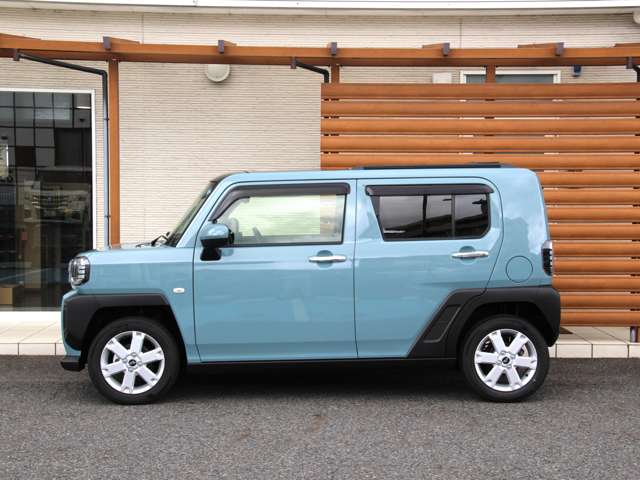 Daihatsu Taft 11