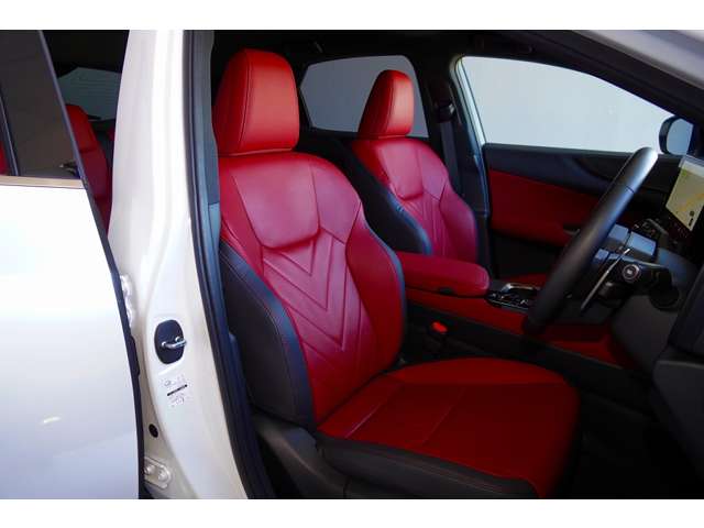 Lexus NX 12