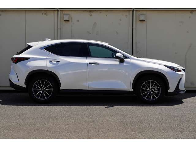 Lexus NX 5
