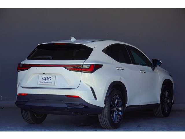 Lexus NX 6