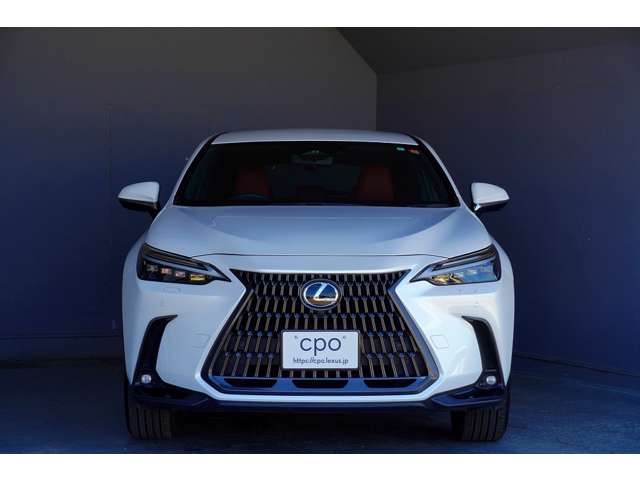Lexus NX 7