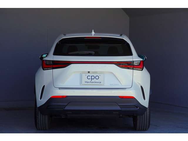 Lexus NX 8