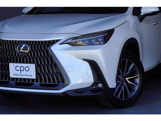 Lexus NX 10