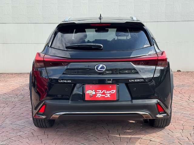 Lexus UX 10