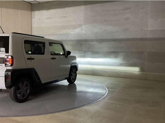 Daihatsu Taft 12