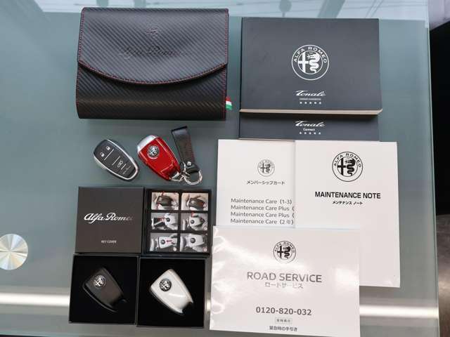 Alfa Romeo トナーレ 4