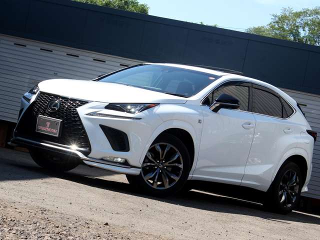 Lexus NX 4