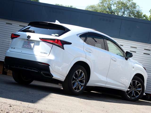 Lexus NX 6
