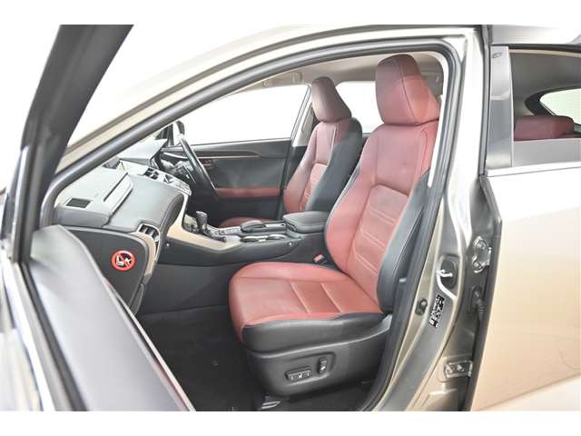 Lexus NX 11
