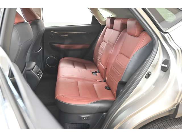 Lexus NX 12