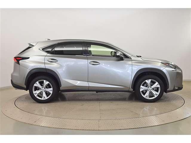 Lexus NX 4