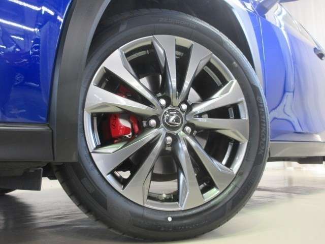 Lexus UX 11