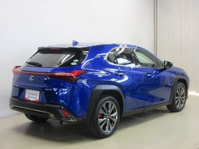 Lexus UX 6