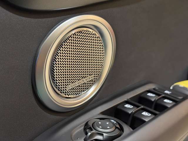 Alfa Romeo トナーレ 10