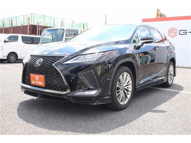 Lexus RX 11