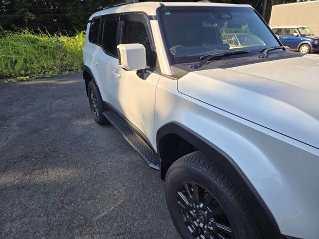 Toyota Land Cruiser 250 4