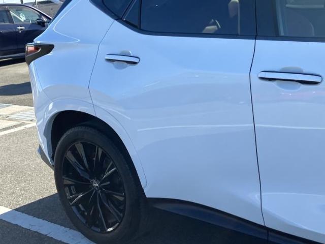 Lexus NX 7