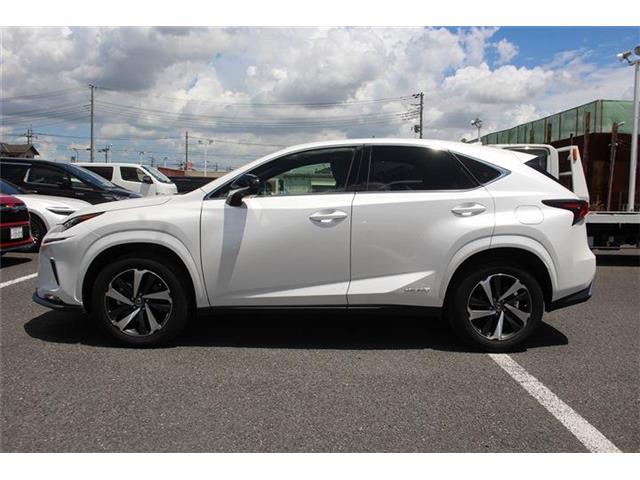 Lexus NX 12
