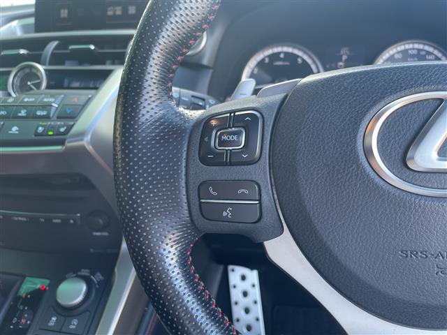 Lexus NX 12
