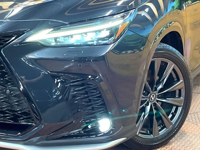 Lexus NX 12