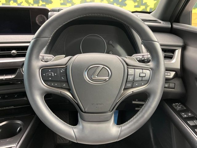 Lexus UX 11