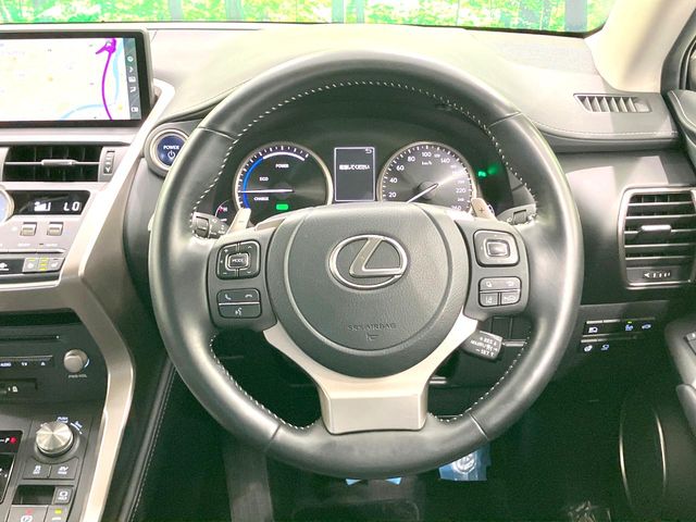 Lexus NX 11