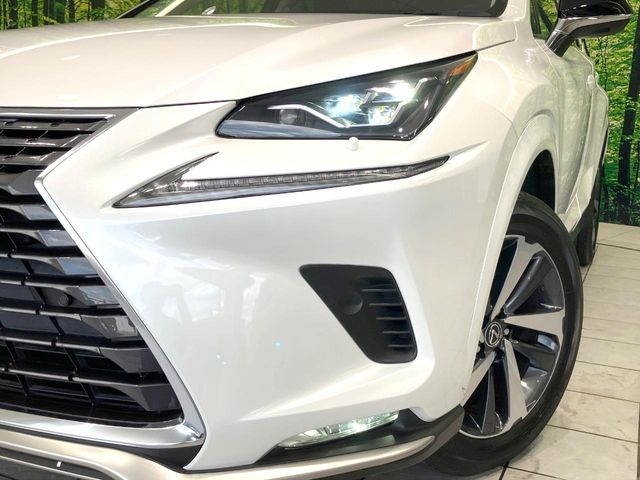Lexus NX 12