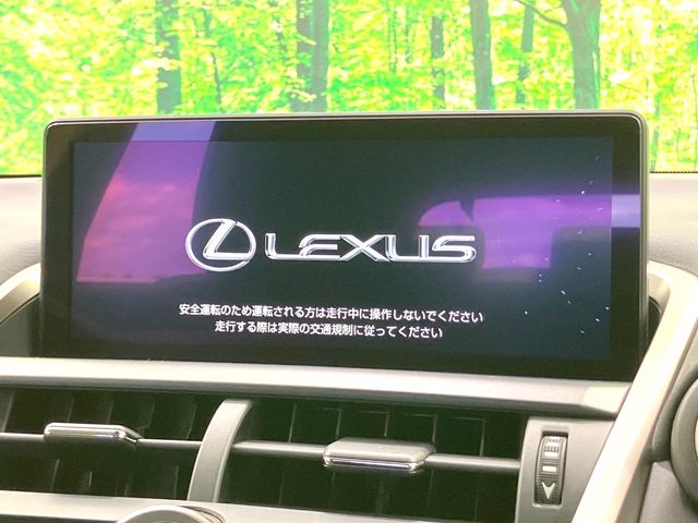Lexus NX 3