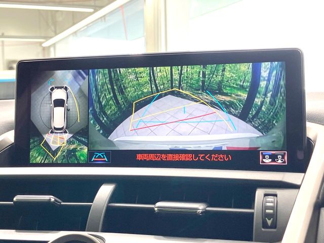 Lexus NX 4