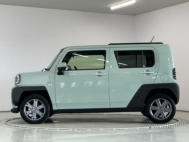 Daihatsu Taft 11