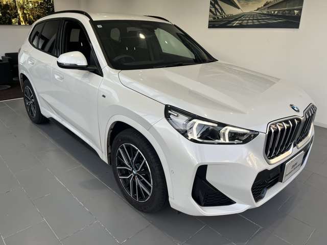 BMW X1 7