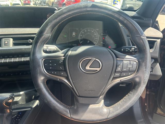 Lexus UX 6