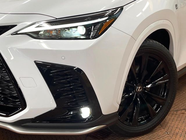 Lexus NX 12