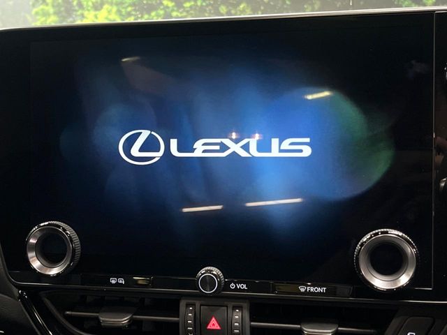 Lexus NX 4