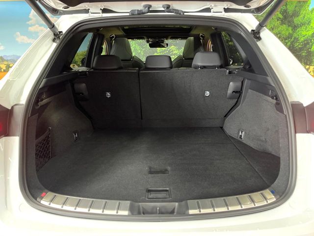 Lexus NX 10