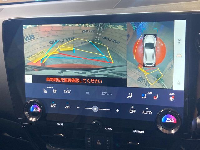 Lexus NX 6