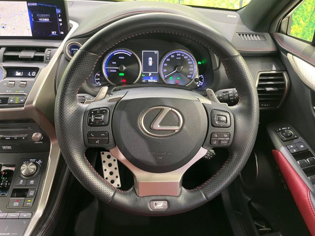 Lexus NX 11