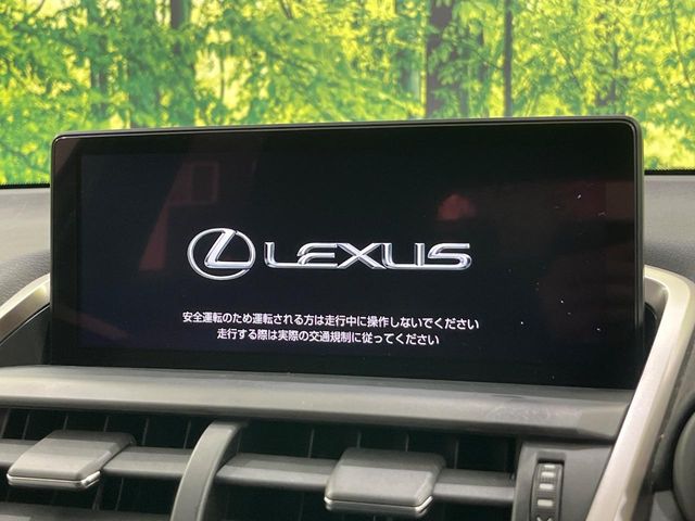 Lexus NX 4