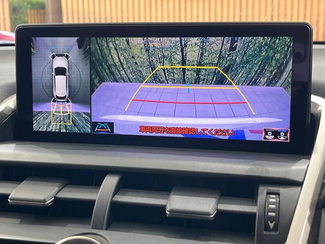Lexus NX 6
