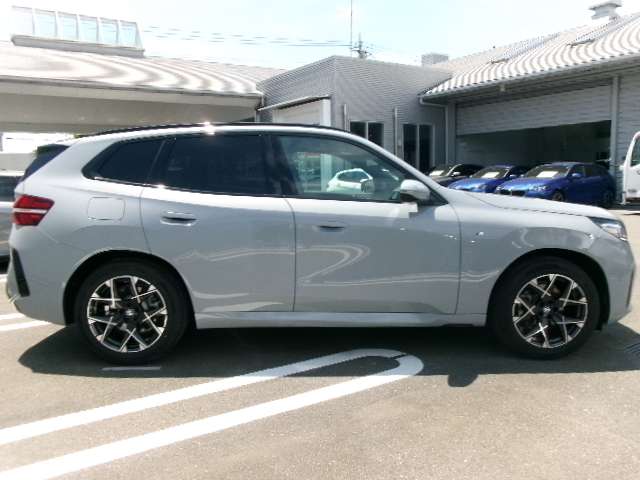 BMW X3 9