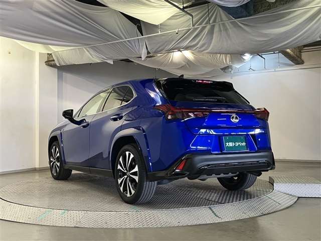 Lexus UX 6
